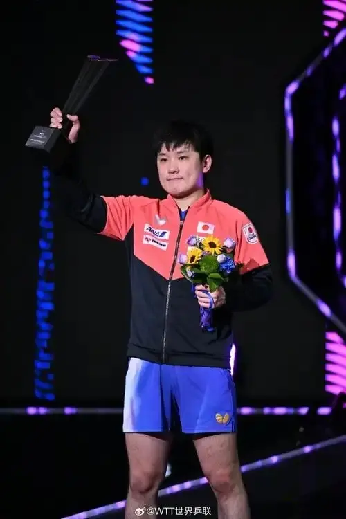 张本智和, 飞以 张本智和, 飞以