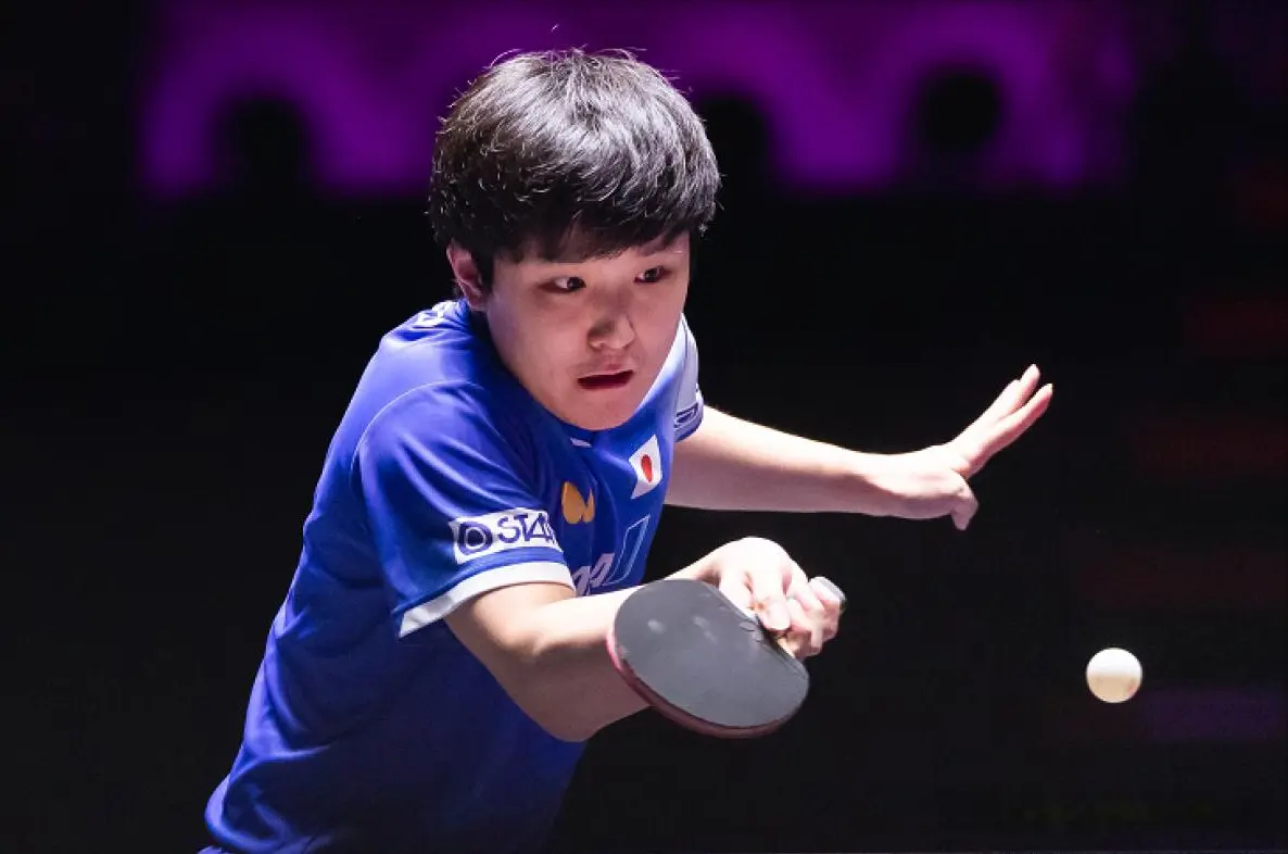 但千万别看 但千万别看