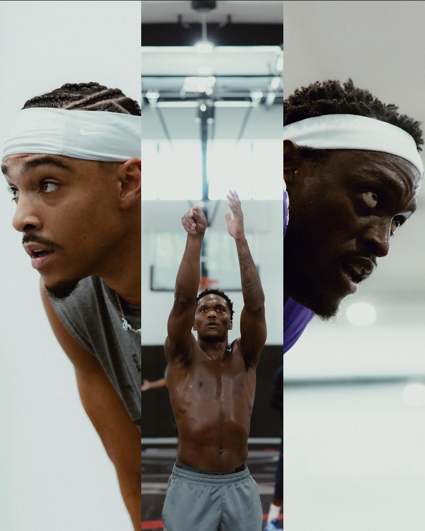 虎扑, 营照片, img